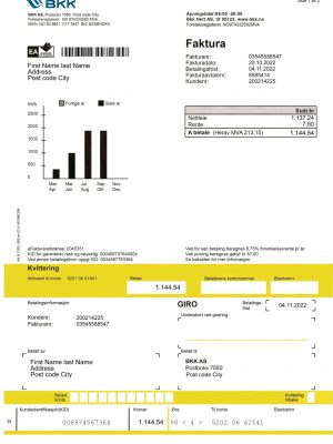 Norway utility bill