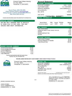 Florida utility bill template
