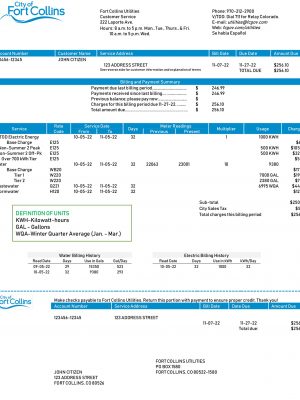 Colorado utility bill template