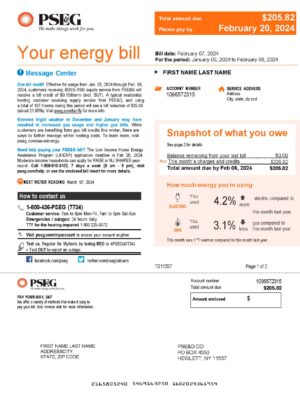 New Template New York PSEG